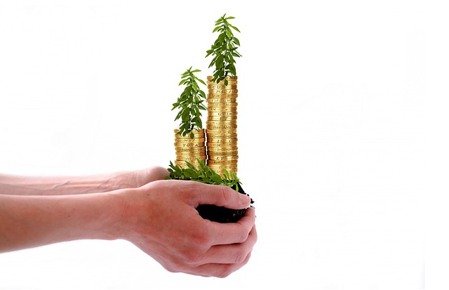 Ethical Investing: Aligning Values with Financial Growth